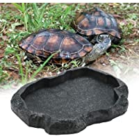Los mejores  - Sheens Alimentador de Reptiles- Resina de Roca Reptil Alimento y Agua Recipiente de alimentación Terrario para Mascotas…